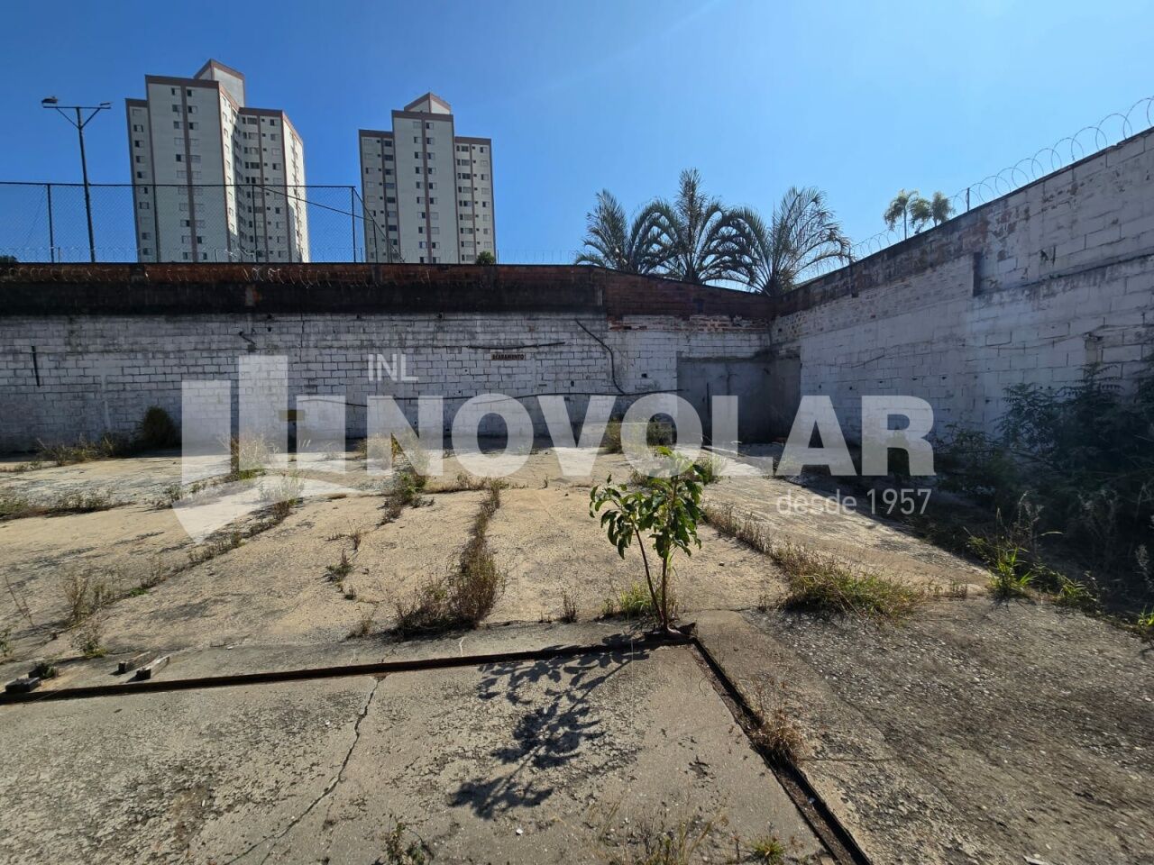 Foto 8 do imóvel VM219465