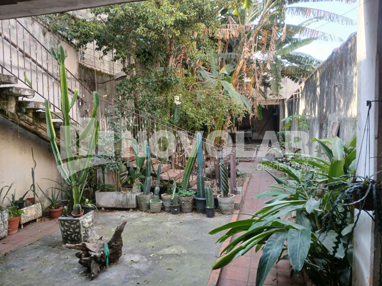 Foto 12 do imóvel VM219652