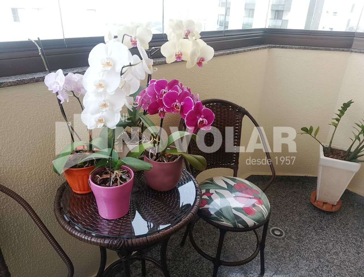 Foto 7 do imóvel VM219953