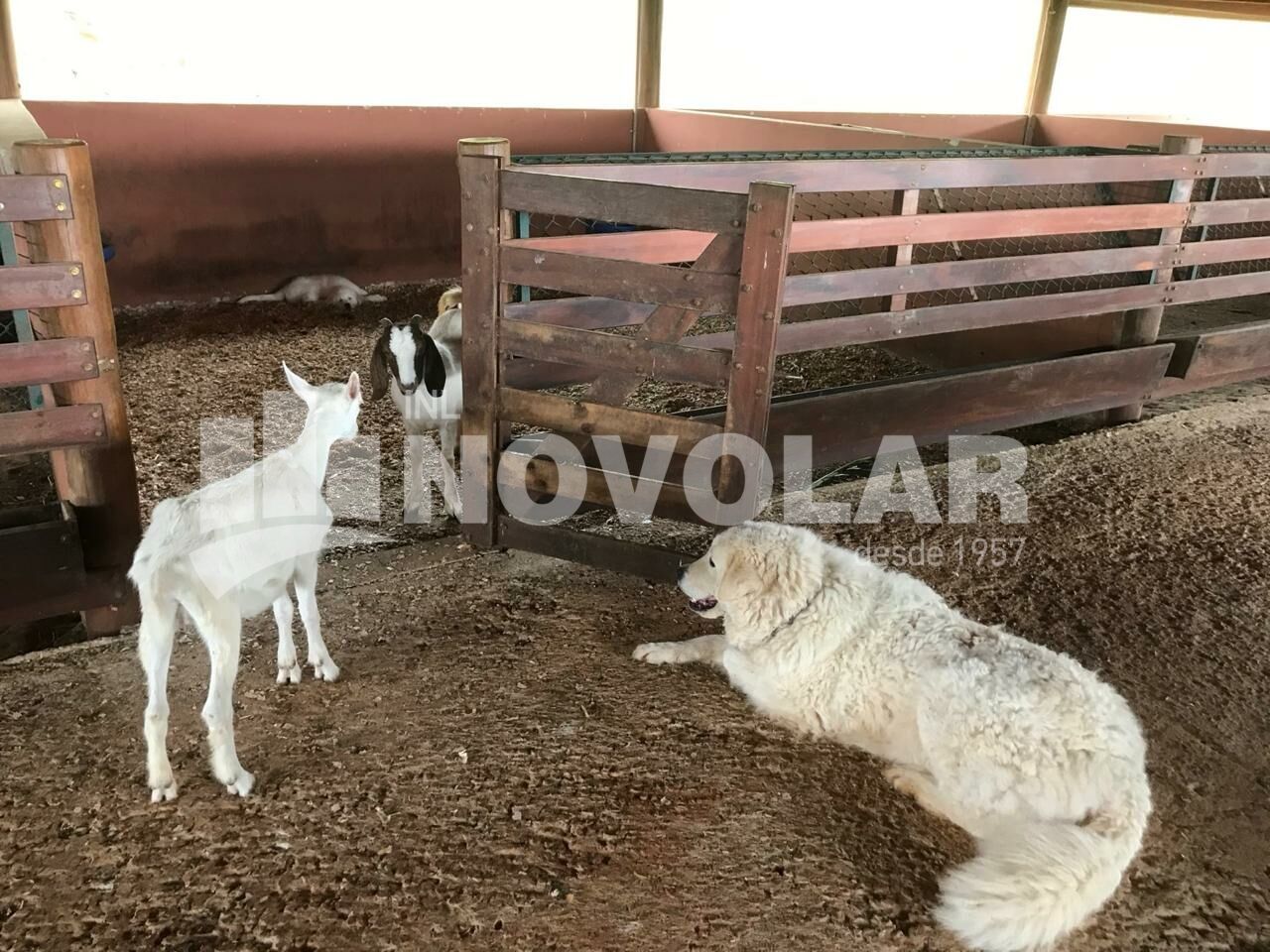 Foto 34 do imóvel VM219973