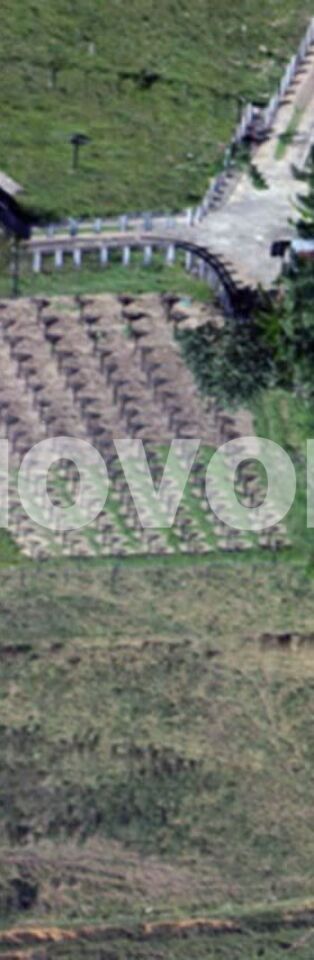 Foto 23 do imóvel VM220074