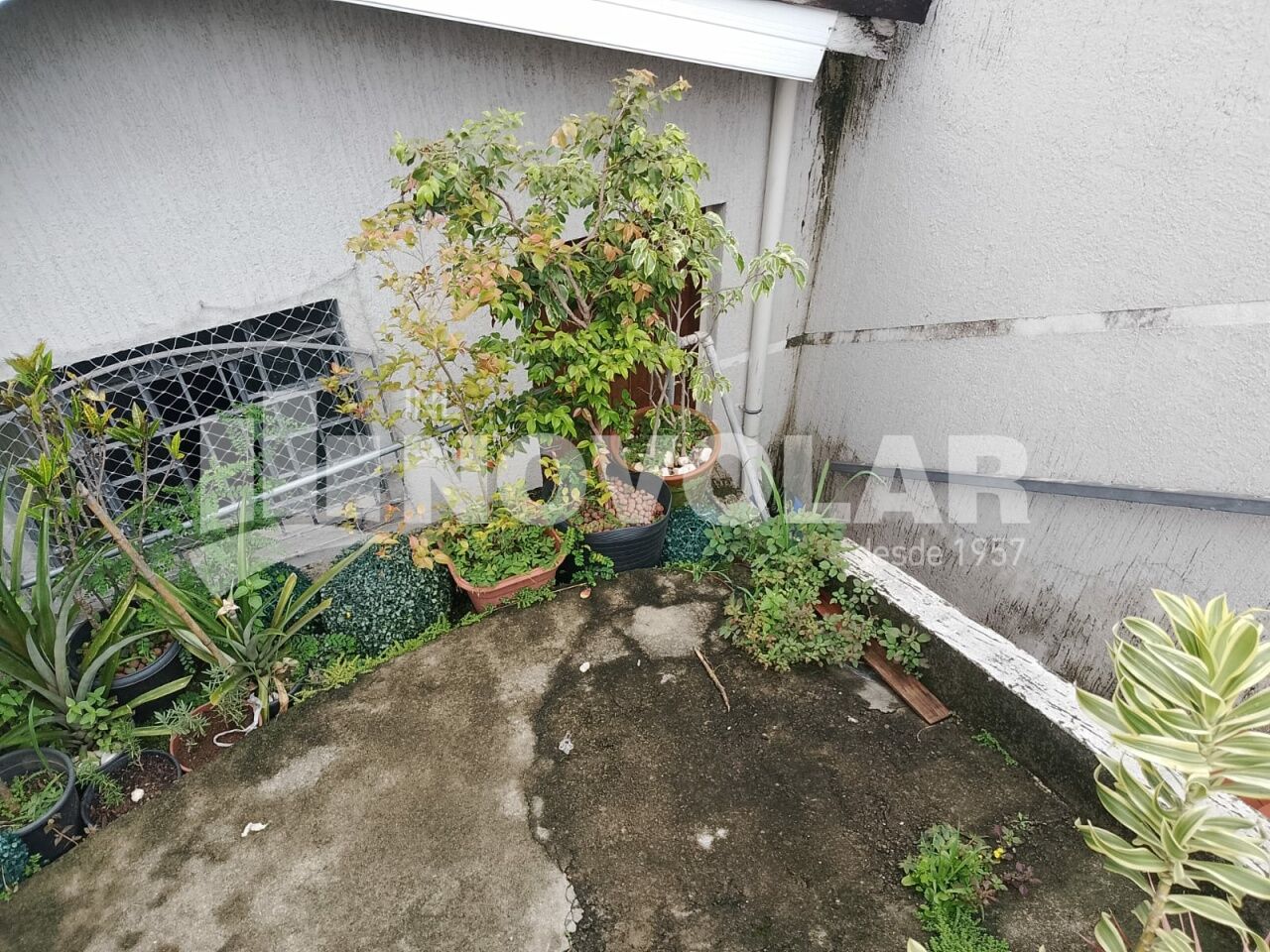 Foto 2 do imóvel VM220155