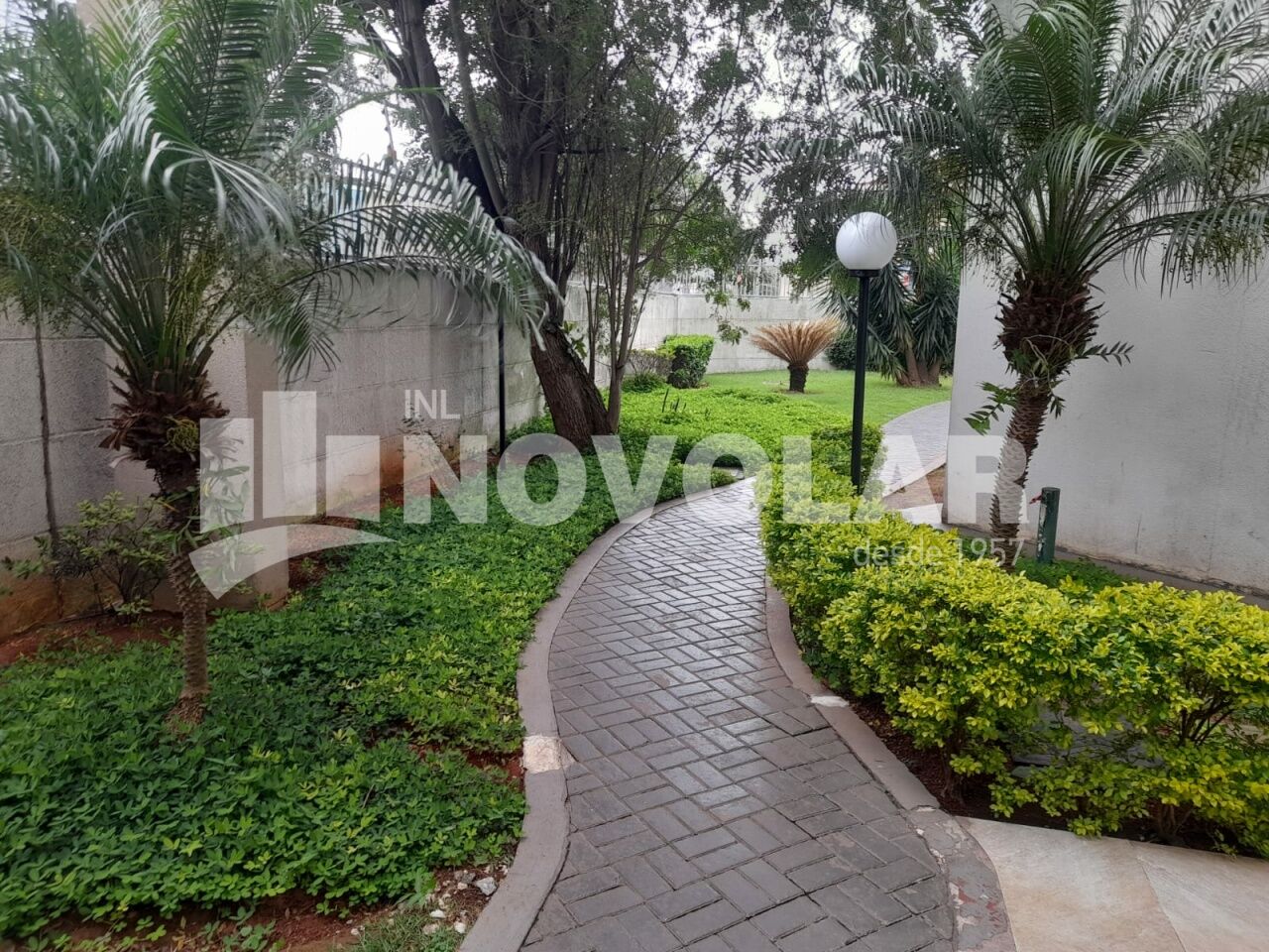 Foto 16 do imóvel VM220165