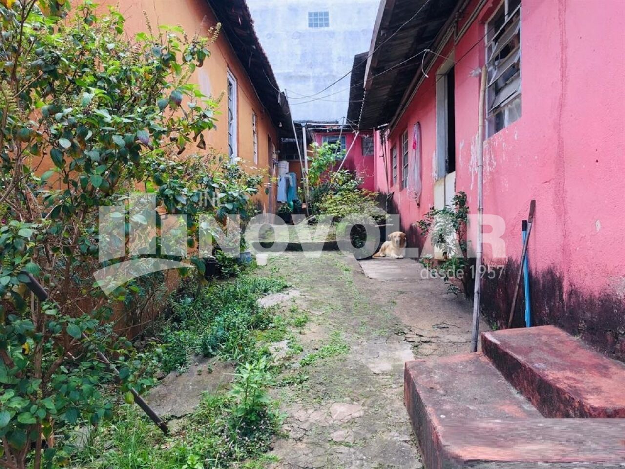 Foto 1 do imóvel VM220281