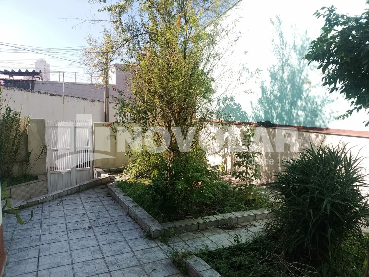 Foto 18 do imóvel VM220293