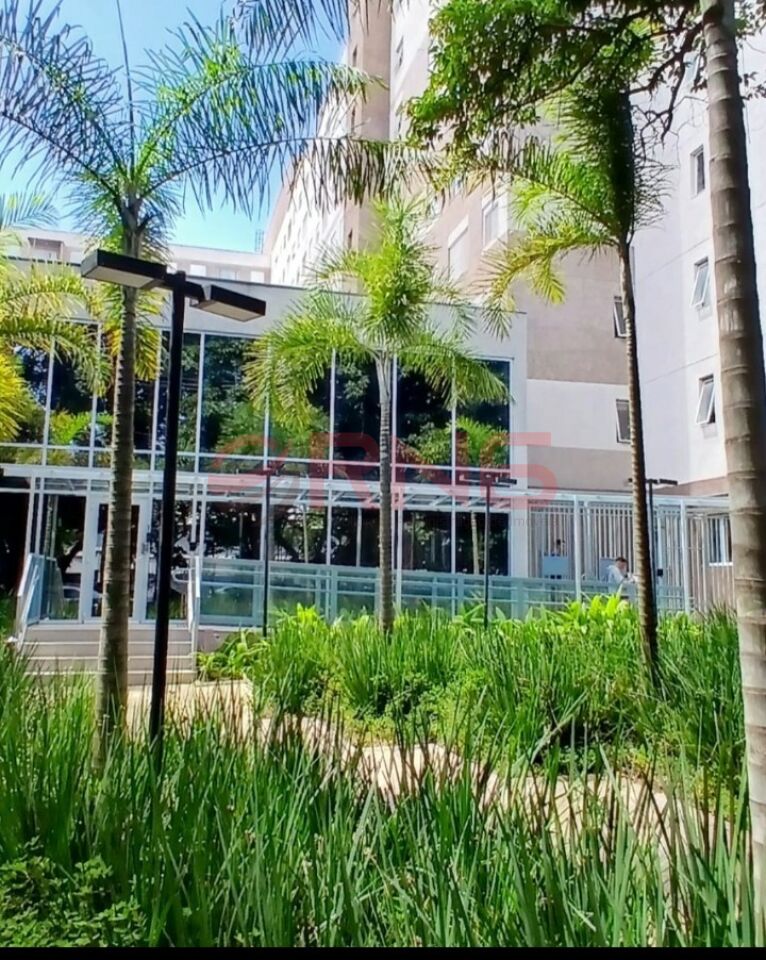 Apartamento para Venda - Lapa de Baixo