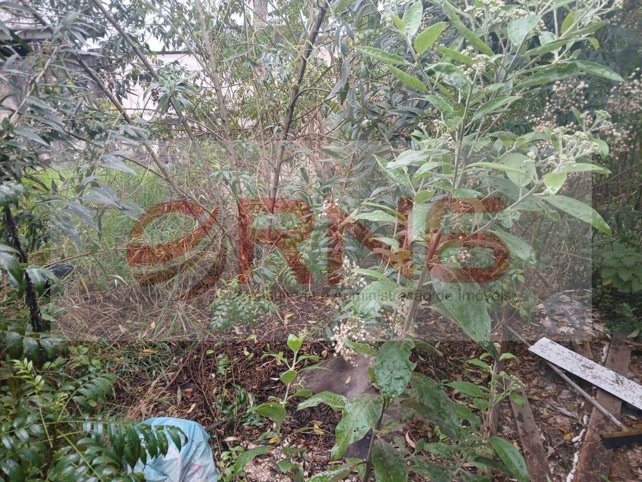 Terreno para Venda - Parque Mandaqui