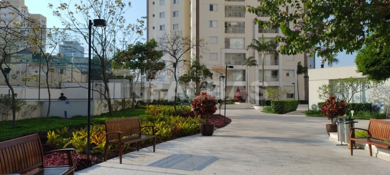 Foto 41