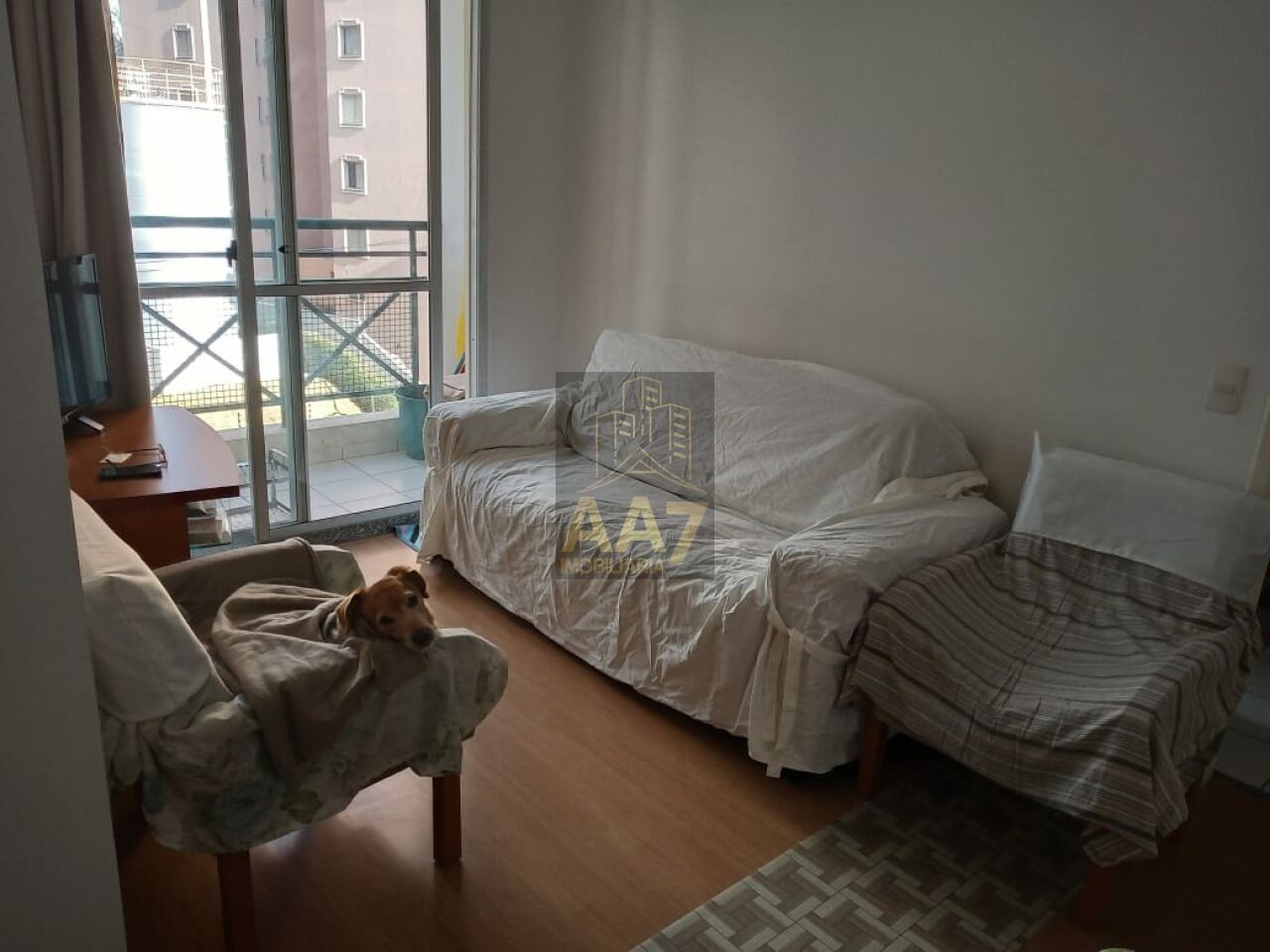 Apartamento para Venda - Vila Butantã