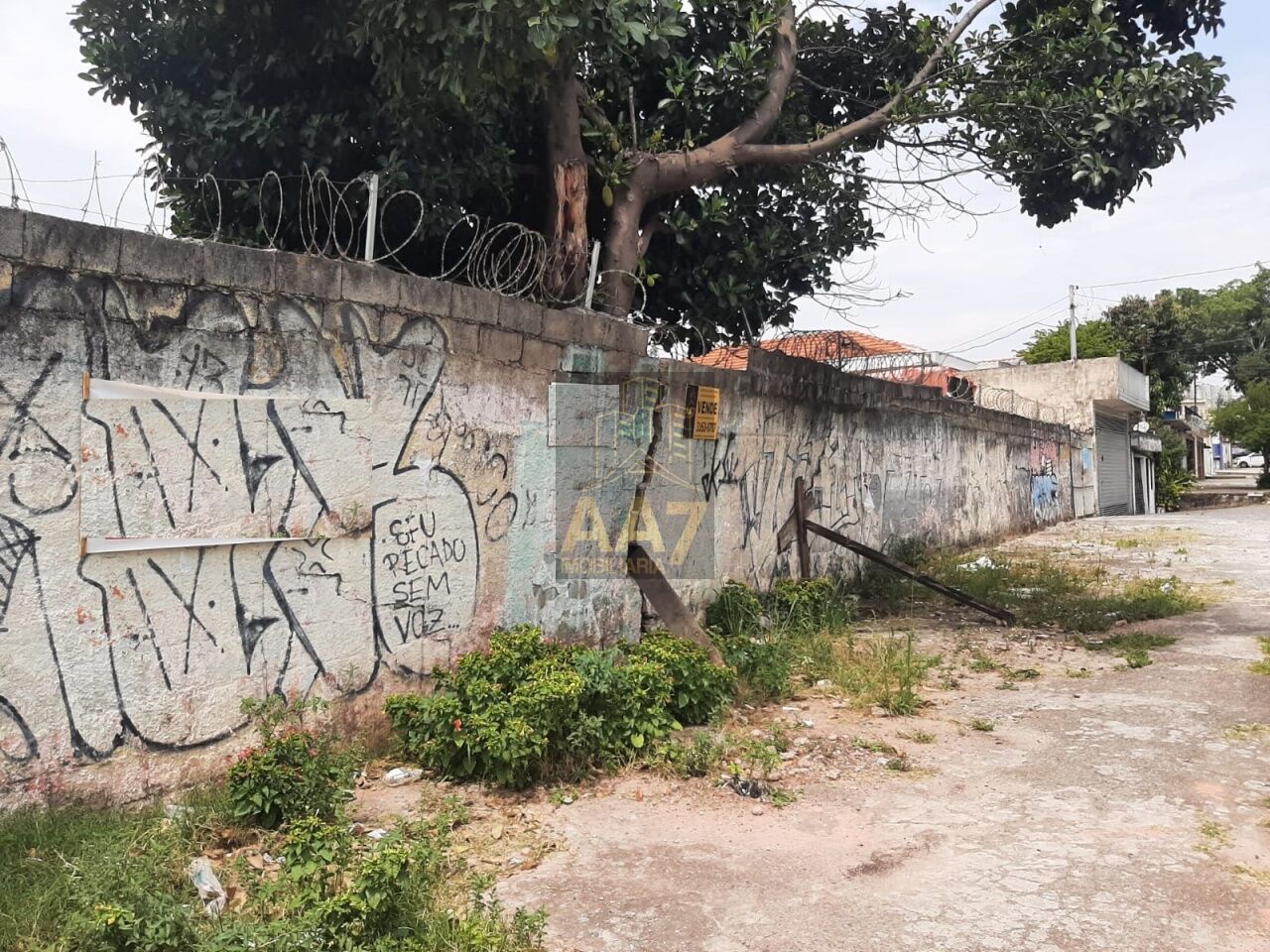 Terreno para Venda - Jardim Ester