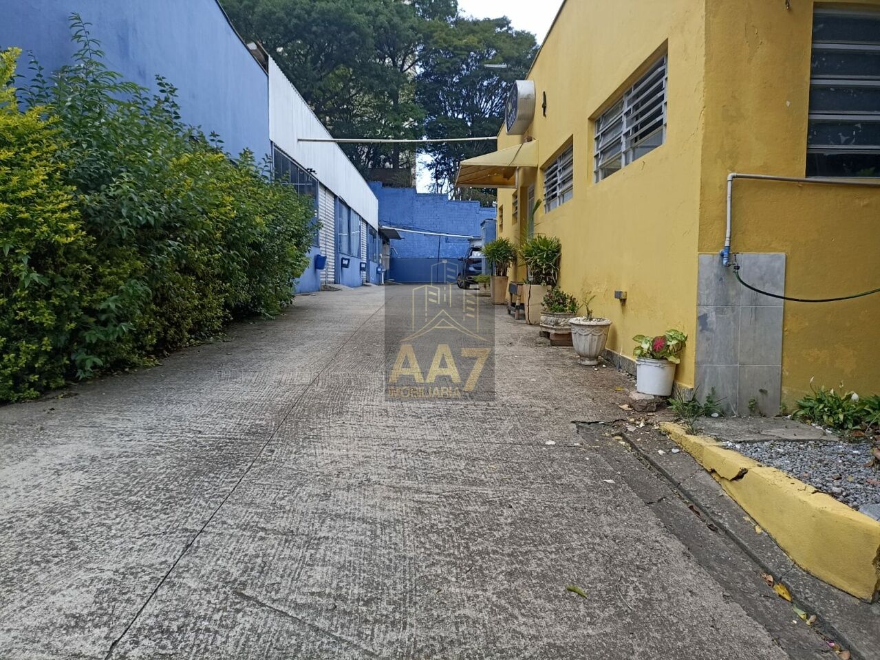 Terreno para Venda - Vila Butantã