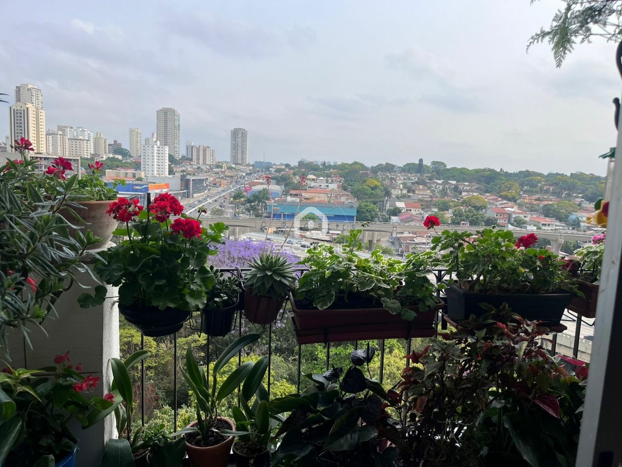 Apartamento para Venda - Jardim Aeroporto