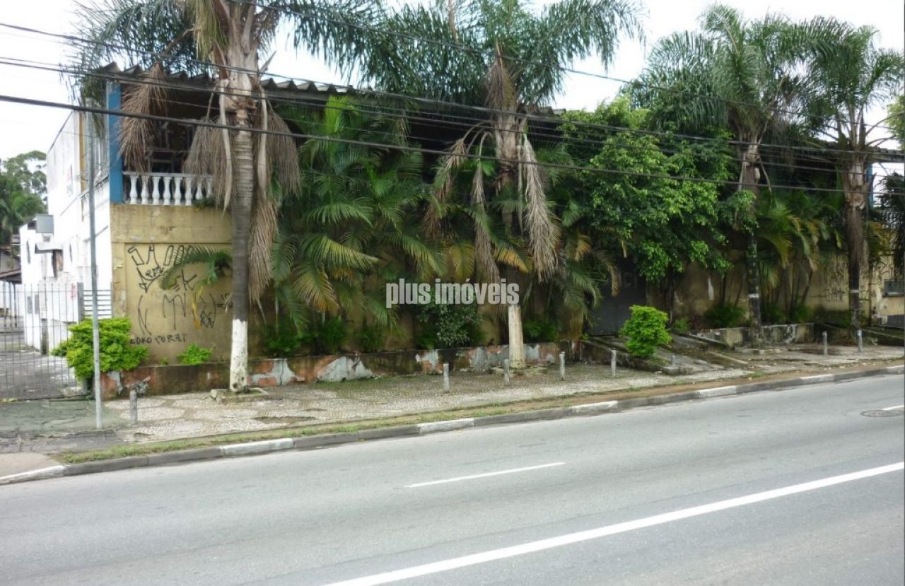 Terreno, 4354 m² - Foto 3