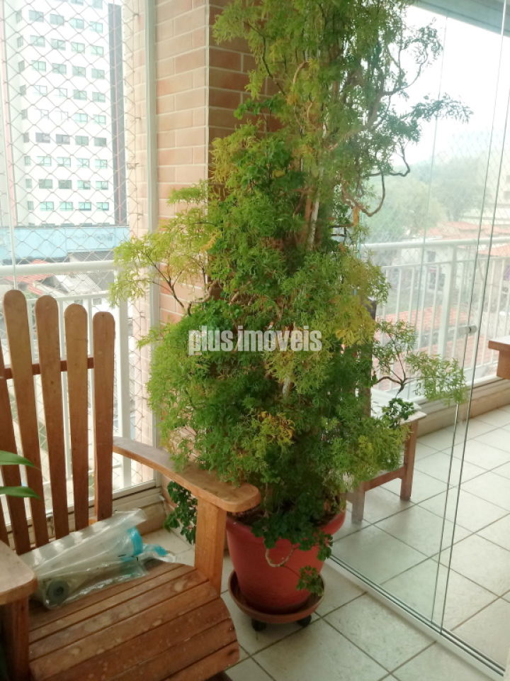 Apartamento, 3 quartos, 115 m² - Foto 24