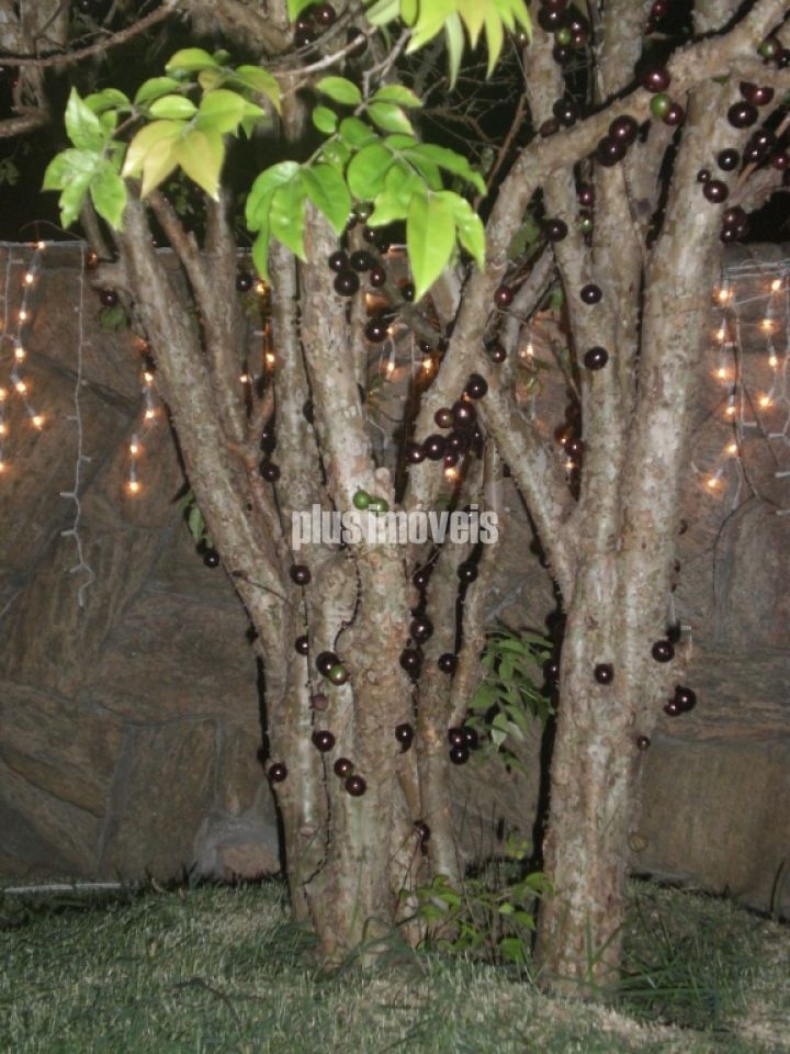 Apartamento, 1 quarto, 43 m² - Foto 14