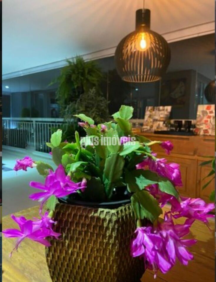 Apartamento, 3 quartos, 260 m² - Foto 5