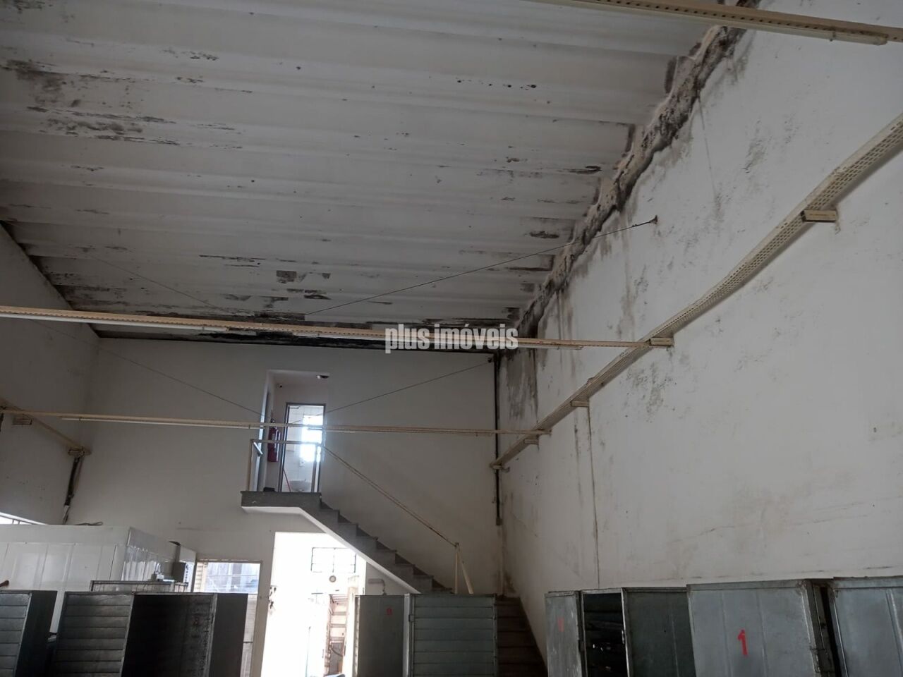 Depósito-Galpão, 263 m² - Foto 3