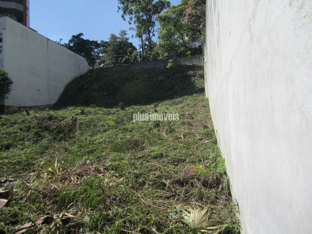 Terreno, 2489 m² - Foto 4