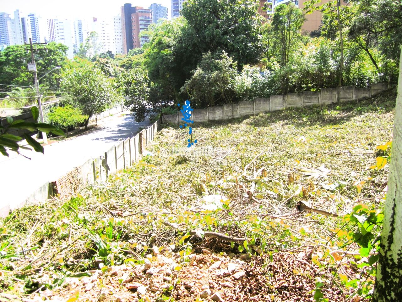 Terreno, 2489 m² - Foto 3