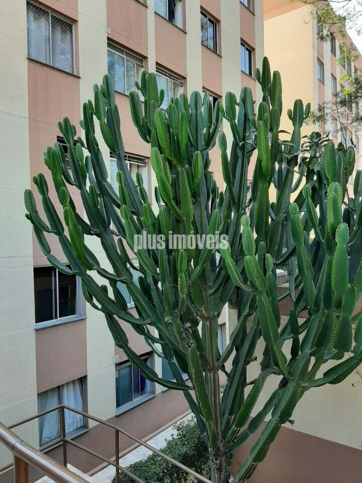 Apartamento à venda com 1 quarto, 43m² - Foto 12