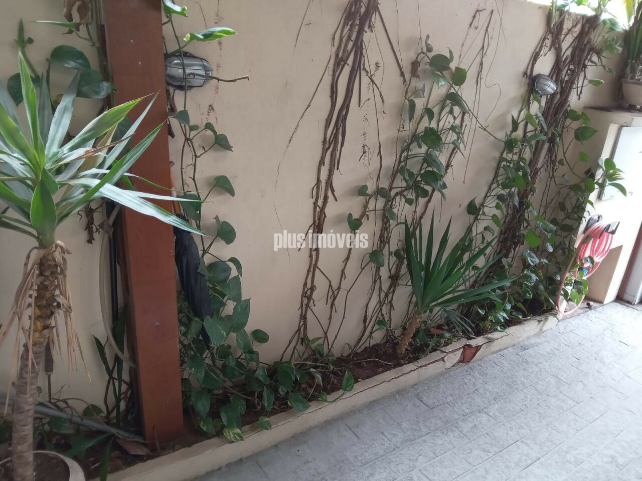 Casa, 3 quartos, 124 m² - Foto 13