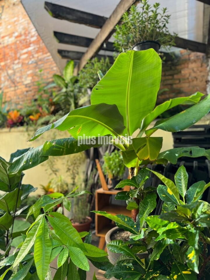 Casa, 2 quartos, 250 m² - Foto 6