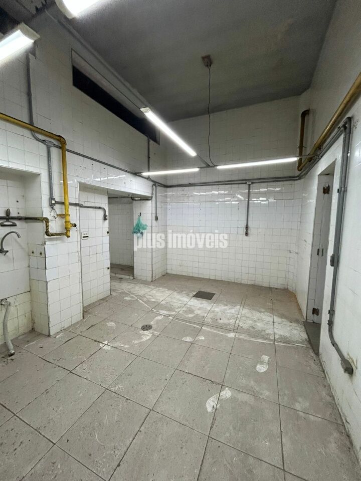 Casa, 1 quarto, 332 m² - Foto 4