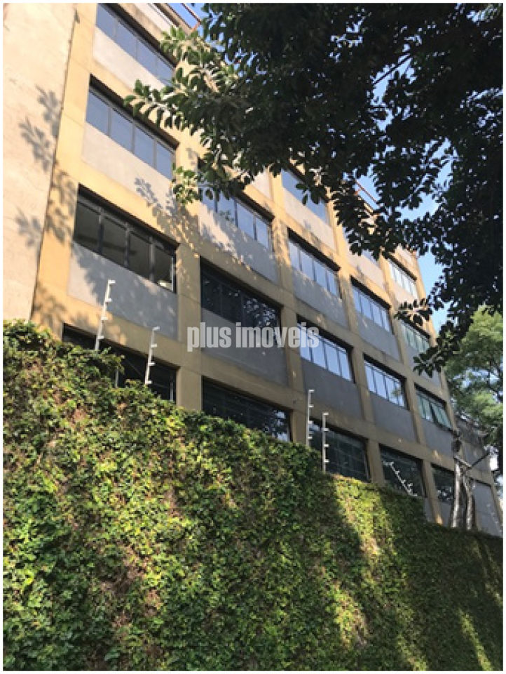 Foto 14