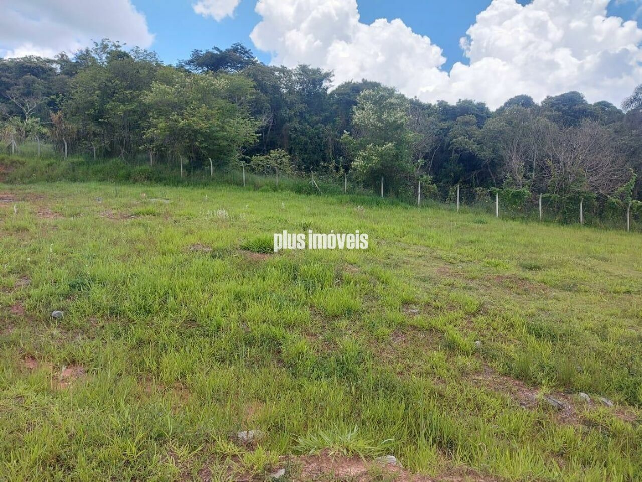 Terreno, 1687 m² - Foto 3