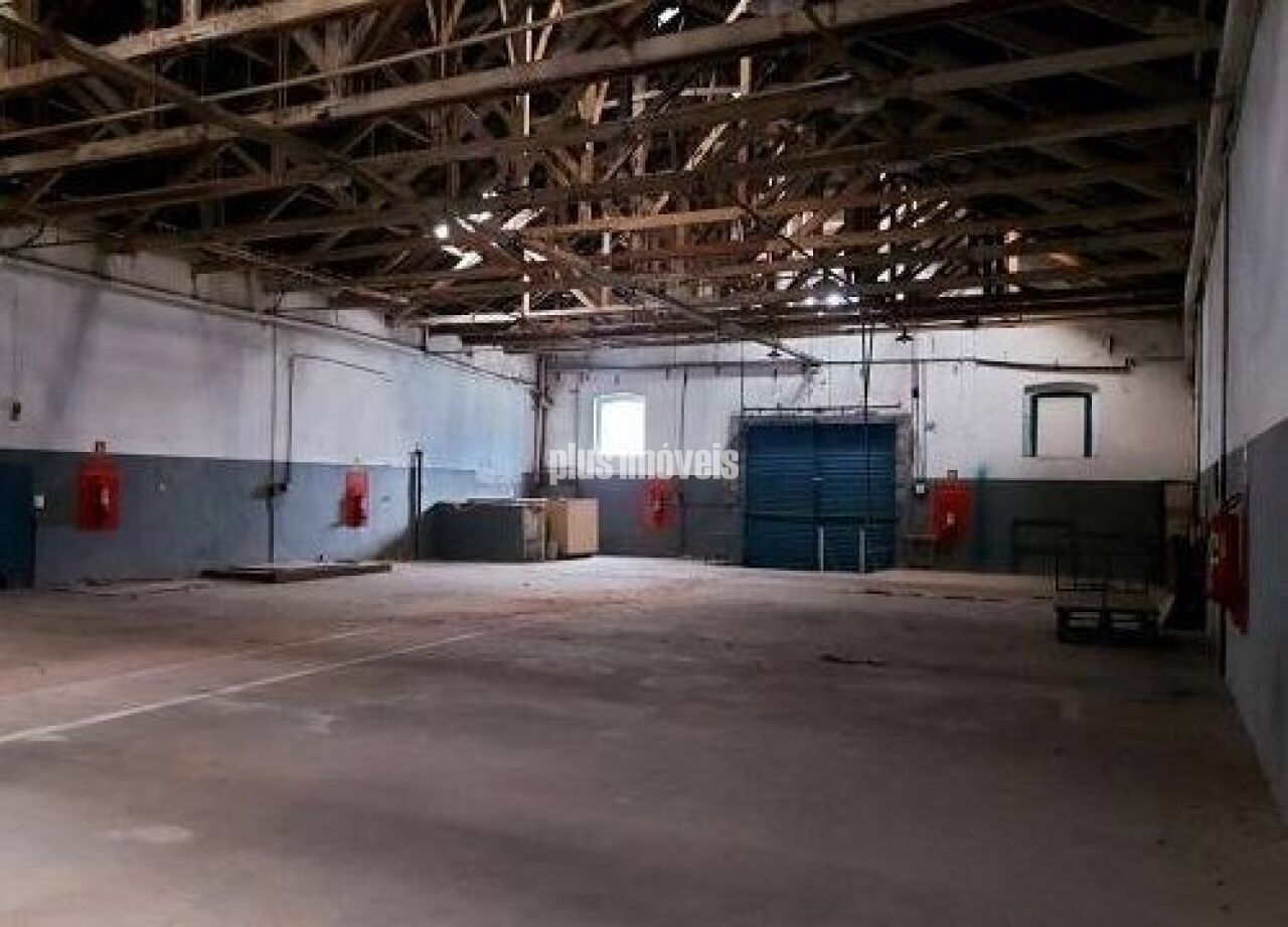 Depósito-Galpão, 1663 m² - Foto 3