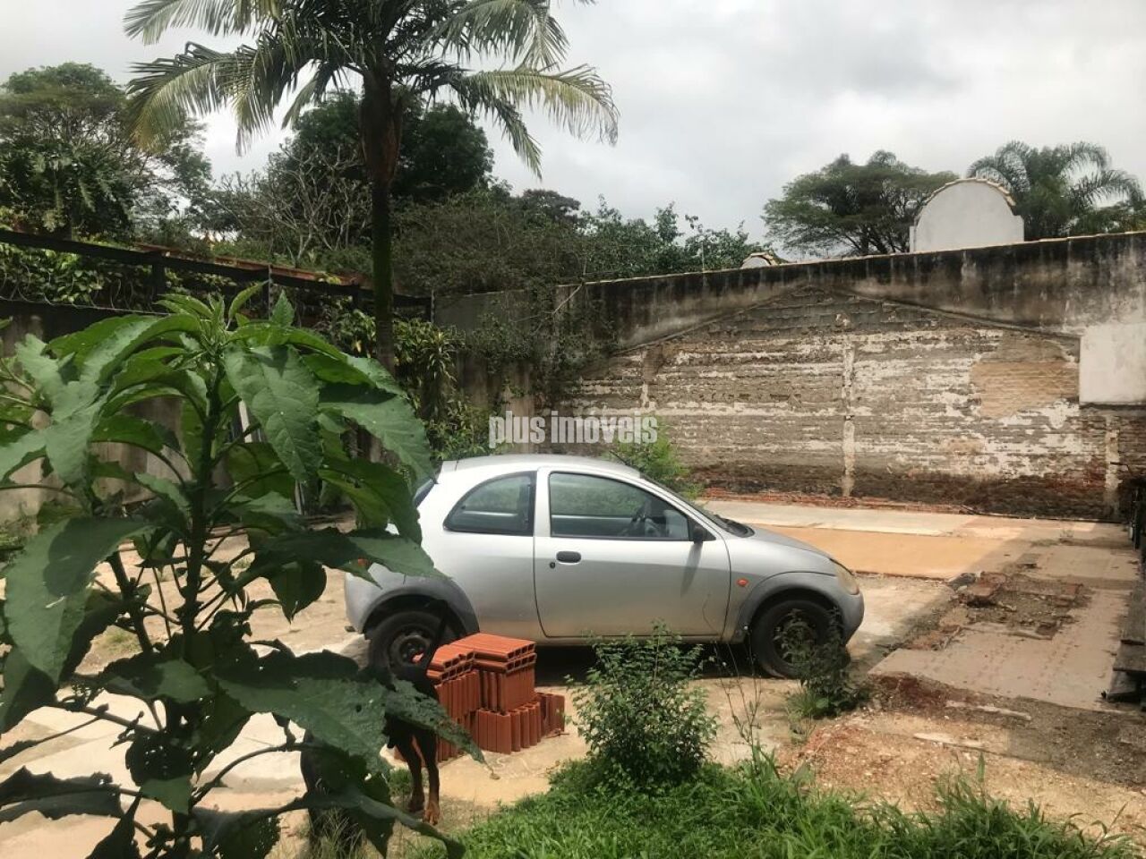 Terreno, 276 m² - Foto 3