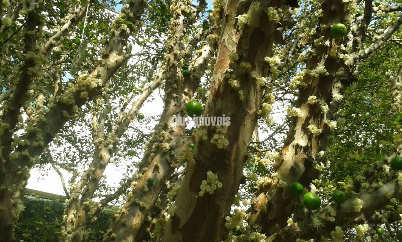 Terreno, 413 m² - Foto 2