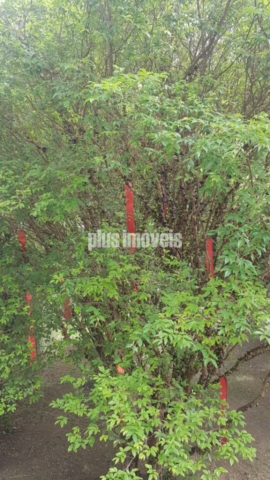 Terreno, 413 m² - Foto 7