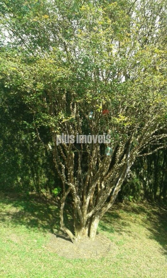 Terreno, 413 m² - Foto 8