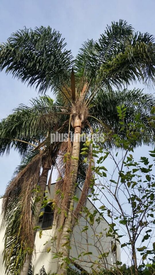 Terreno, 413 m² - Foto 10