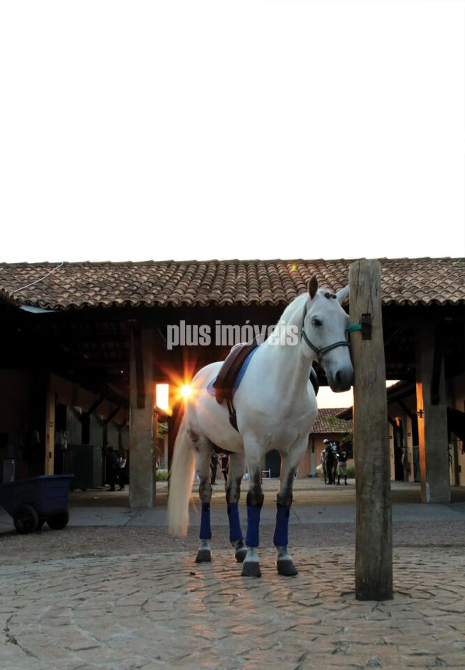 Casa de Condomínio, 6 quartos - Foto 41