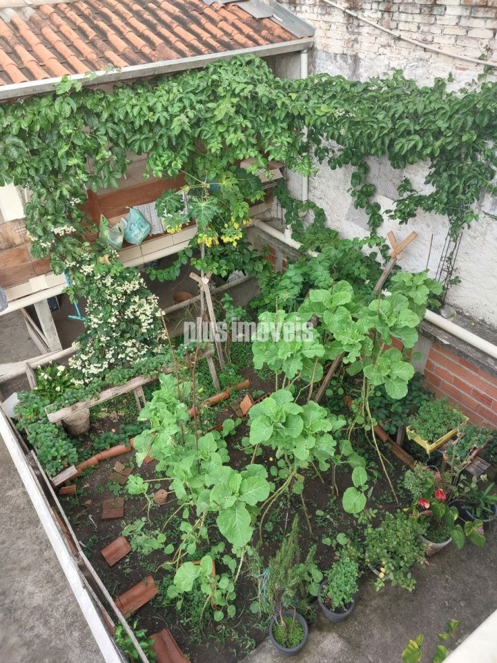 Casa, 3 quartos, 240 m² - Foto 15