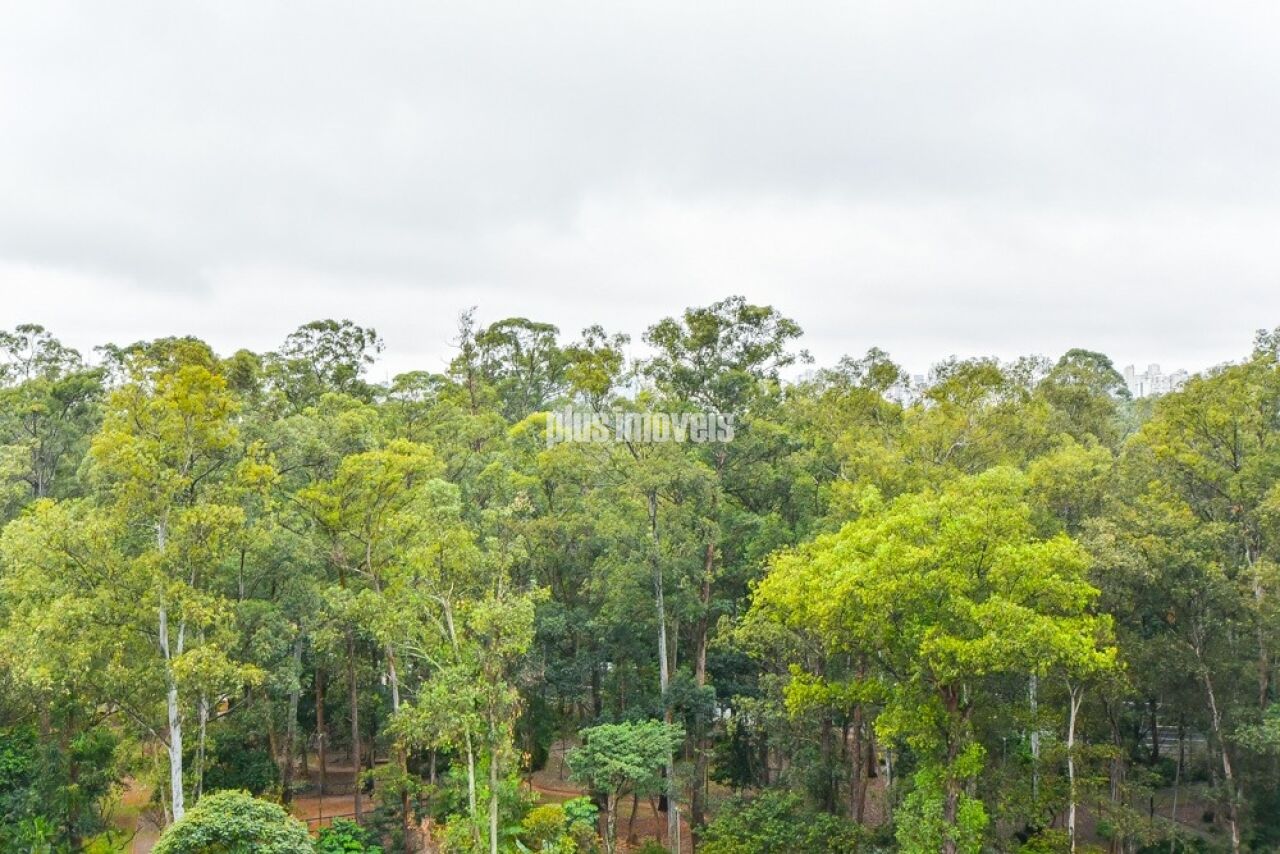 Apartamento, 3 quartos, 274 m² - Foto 35