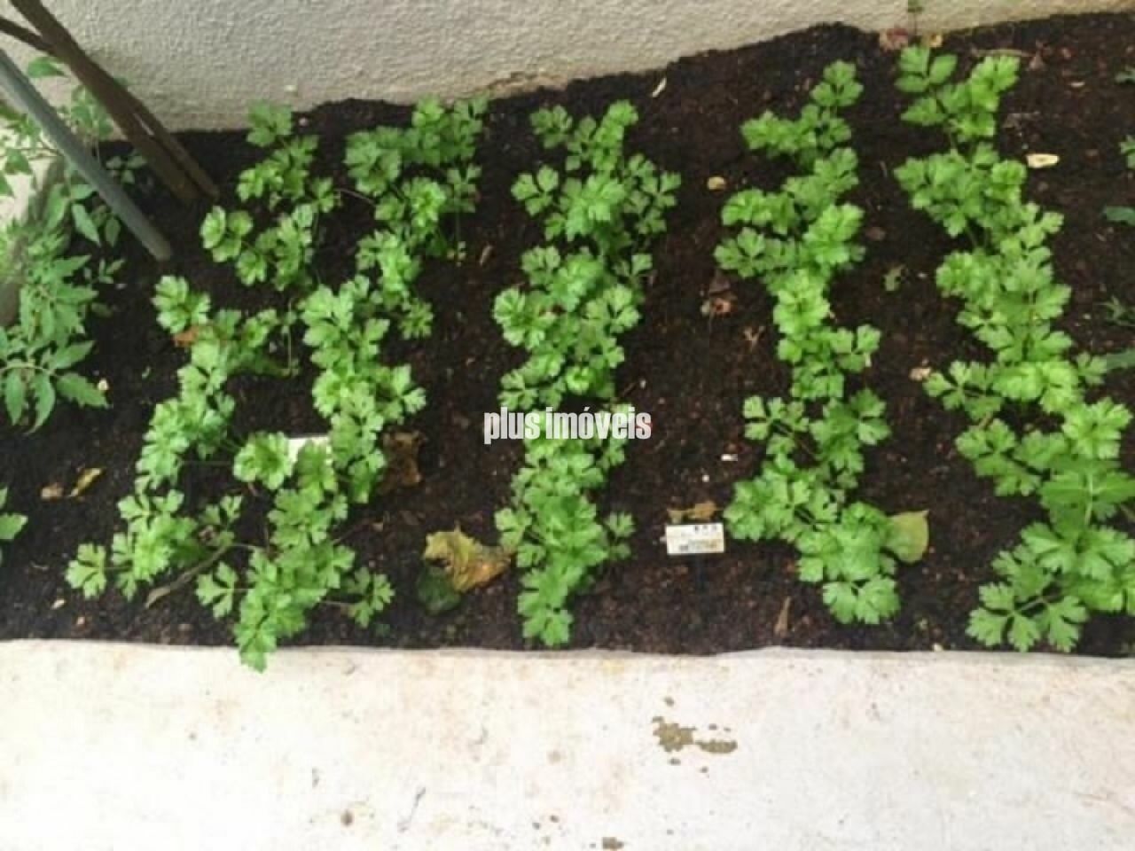 Foto 21
