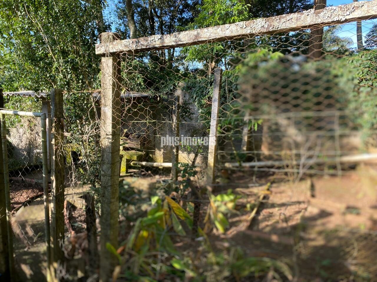 Casa de Condomínio à venda com 5 quartos, 500m² - Foto 8