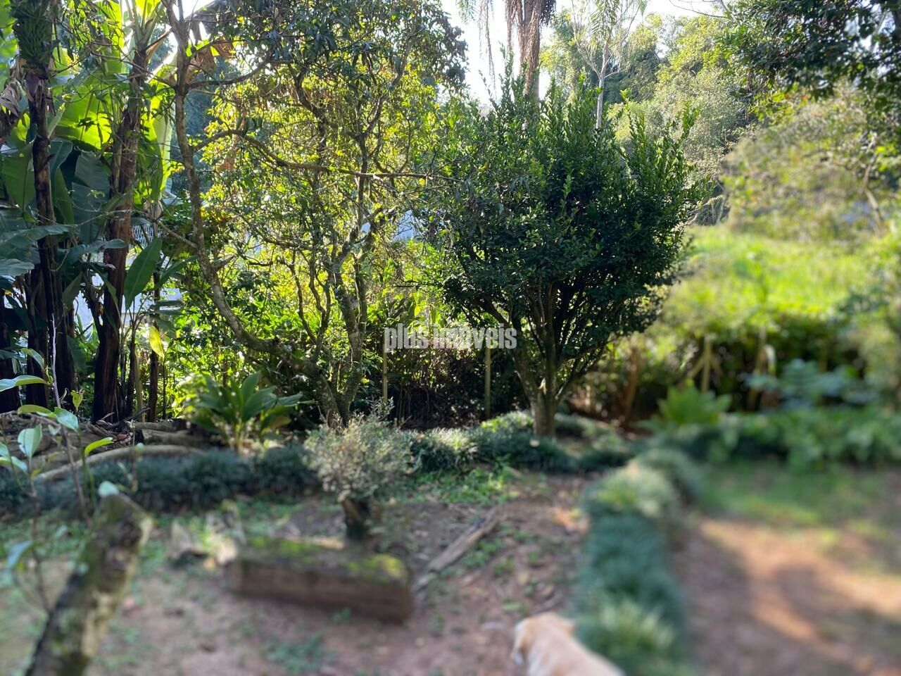 Casa de Condomínio à venda com 5 quartos, 500m² - Foto 5