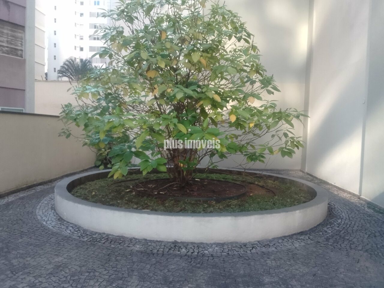 Foto 18