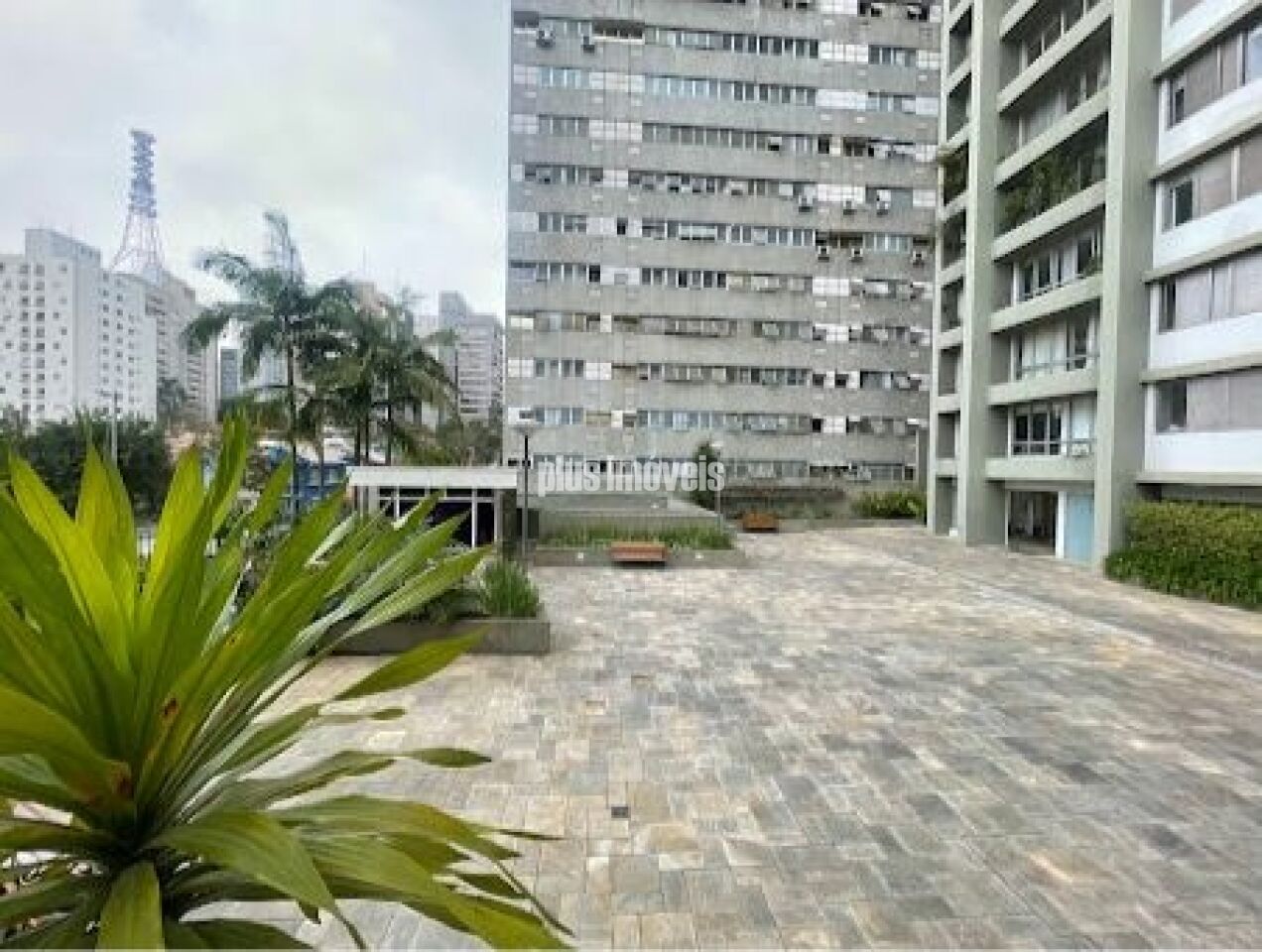 Foto 8