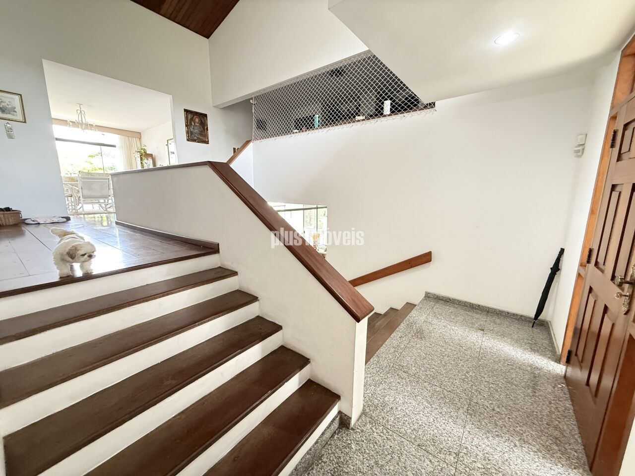 Casa, 4 quartos, 400 m² - Foto 37