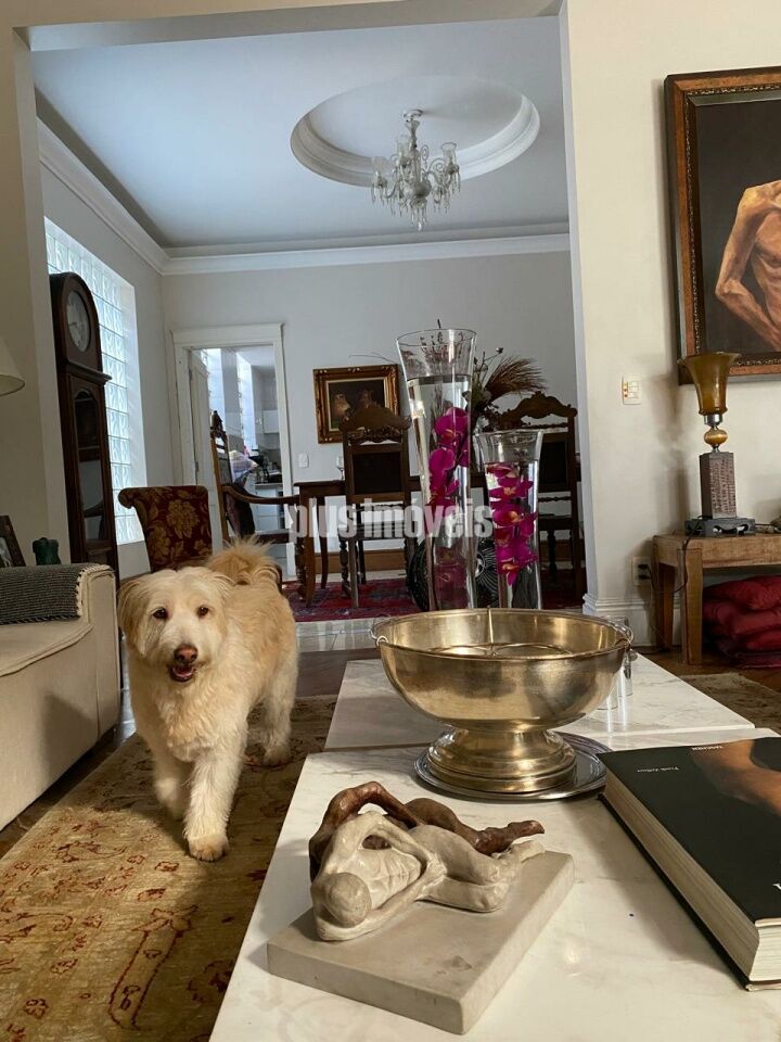 Casa, 4 quartos, 600 m² - Foto 22