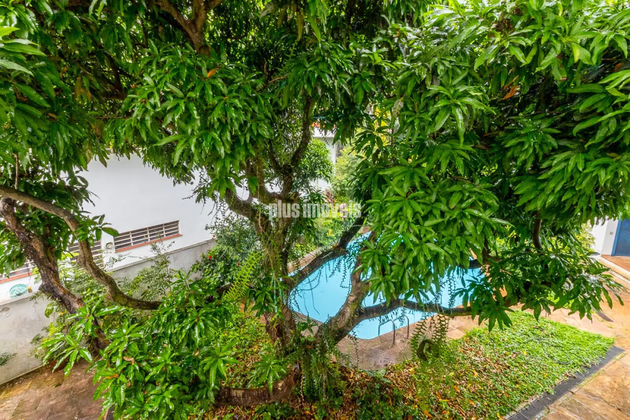 Casa, 3 quartos, 368 m² - Foto 3