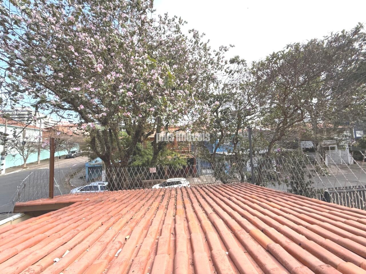 Casa, 4 quartos, 224 m² - Foto 10