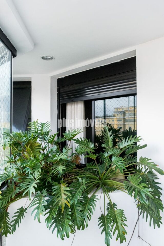 Apartamento, 4 quartos, 217 m² - Foto 23