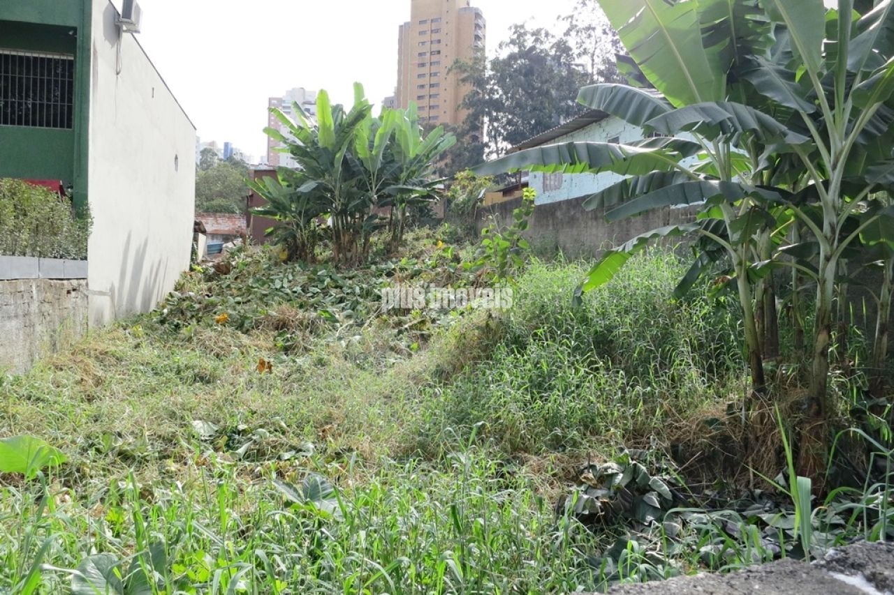 Terreno, 300 m² - Foto 7