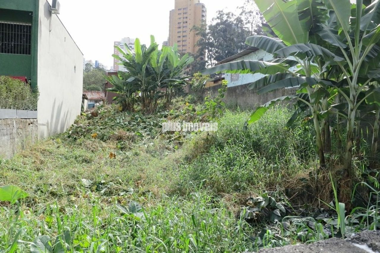 Terreno à venda, 300m² - Foto 1